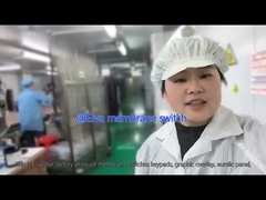 سوئیچ غشا PET سفارشی برای تجهیزات پزشکی و کاربردهای صنعتی